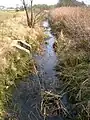 The Red burn in 2009 near the site of the Drukken Steps