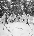 Infantrymen of the Régiment de la Chaudière, who are wearing British winter camouflage clothing, on patrol, Berg en dal, Netherlands, January 24, 1945