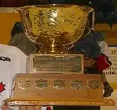 Trophy with a gold coloured bowl on a two-tiered wooden base