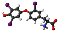 Ball-and-stick model of the reverse triiodothyronine molecule as a zwitterion