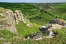 La Castel landscape reserve near Gordinești, Edineț