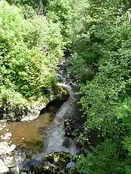 The Rhue river in Chanterelle