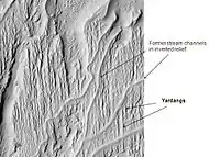 Stream channels in inverted relief and yardangs, as seen by HiRISE