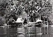 Homes by Río Dulce, filmed from one of the IRCA steamboats. The Tarzan movie shows almost identical shots.