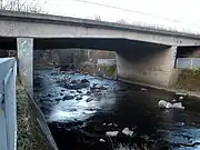 Passing under the bridge at Springfield Avenue, Templeogue