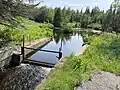 Dam, Rivière à la Tortue