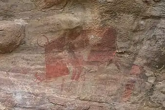 A man being attacked by a horned bovine.