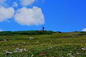 A small, solar-powered weather station is surrounded by native growth on the west side of Rollins Pass, located above Ptarmigan Point.