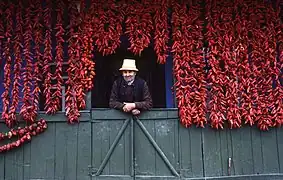 A man surrounded by drying peppers in Transylvania