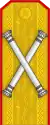 The epaulettes insignia of a Romanian marshal