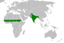 Equatorial Africa, India, Pakistan, Bangladesh, Nepal, and Burma