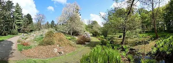 Botanical Garden of Rostock University.