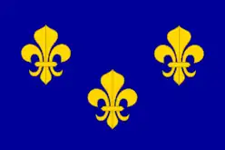 The royal banner of France or  "Bourbon flag"