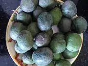 Freshly plucked raw rudraksha fruits; when ripe these are blue in colour