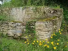 Ruins and flora