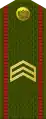 СяржантSiaržant(Belarusian Ground Forces)