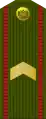 Старшы сяржантStaršy siaržant(Belarusian Ground Forces)