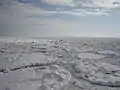 Close-up view inside a drift ice zone: several small rounded floes are separated from each other by slush or grease ice. (Bird at lower right for scale.)