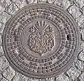 Manhole cover with the Oleśnica coat of arms