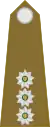 KapteinSouth African Army