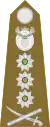 Lieutenant general(South African Army)