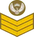 Staff sergeant(South African Army)