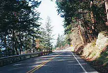 Trees forming a canopy over the highway.