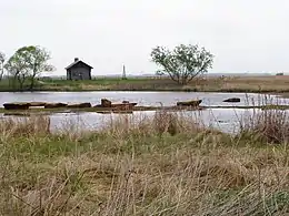 Goose Lake Prairie F&WA, Morris, Illinois