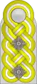 Shoulder board(Waffen-SS)