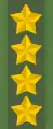 General(Swedish Army)