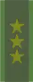 KaptenSwedish Army