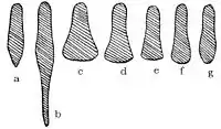 Sabatons evolution by Wendelin Boeheim: а) 1290–1390b) 1300–1490с) 1500–1530d) 1530–1540е) 1540–1550f) 1550–1560g) 1560–1590