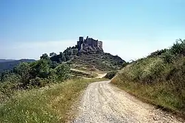 Château de Couzan