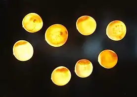 Salmon eggs in different stages of development.