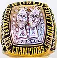 Super Bowl XIX(San Fransisco 49ers)