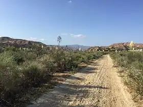 San Francisquito Canyon