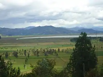 Cattle farming in rural San Miguel de SemaLake Fúquene in the background