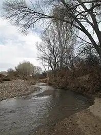 The San Pedro, near the old railroad bridge in Fairbank.