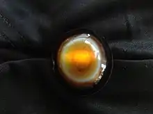 Sardonyx stone