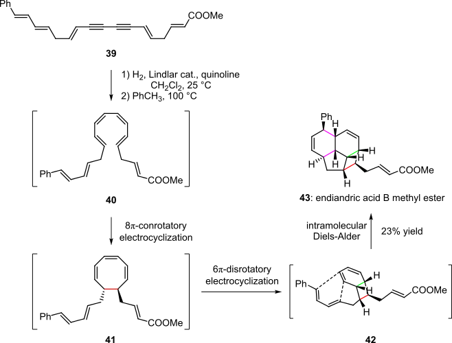 Scheme 8. Pericyclic cascade in the synthesis of endiandric acid derivatives