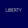 Schenectady Liberty Flag