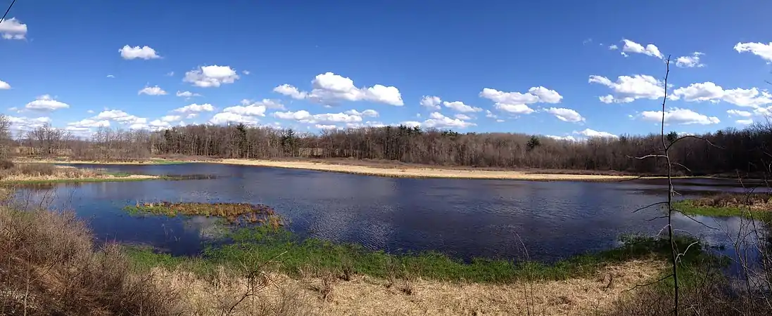 Ten Acre Pond near Scotia