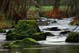 The Semme river near Droux