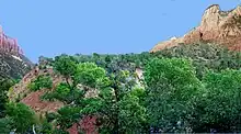 Lobe with trees on top below cliff