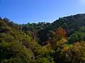 Eastern hillside of the Sepulveda Pass, east Skirball Center Drive overpass