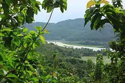 Serayu river