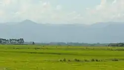 Landscape in the Pampas at eye level. Brazil