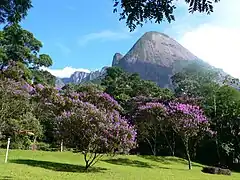 Serra do Mar