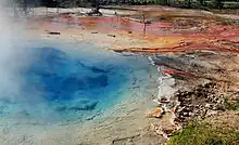 Blue spring with steam rising from it; irregular blotches of red and orange residue are on the banks, along with dead tree trunks.