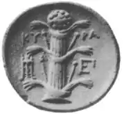 Ancient coin from Cyrene depicting a silphium stalk.